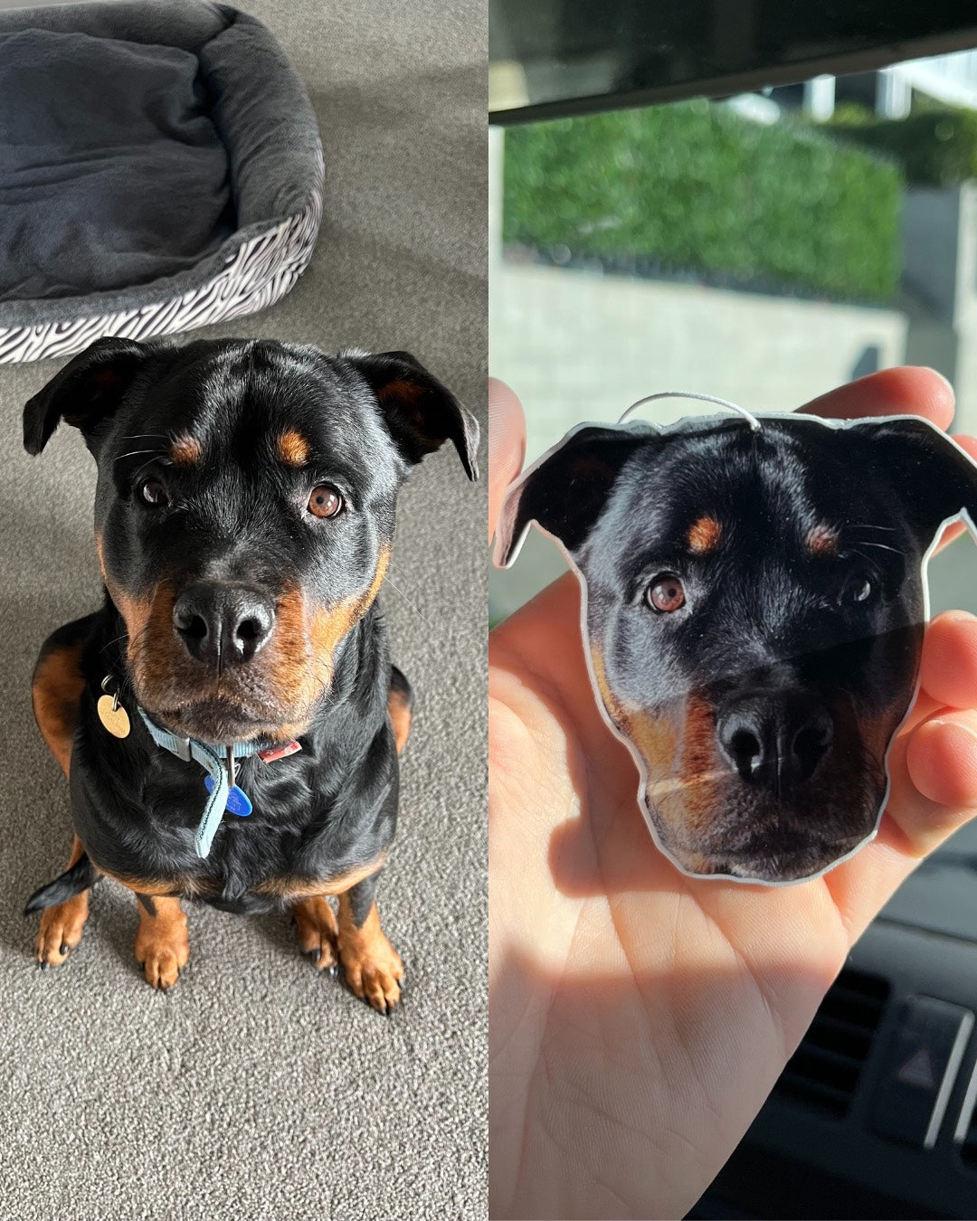 Custom Air Freshener